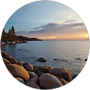 Thomas Fitzgerald profile picture