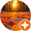 Susan Stieper profile picture