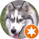 Dennis Stachowski profile picture